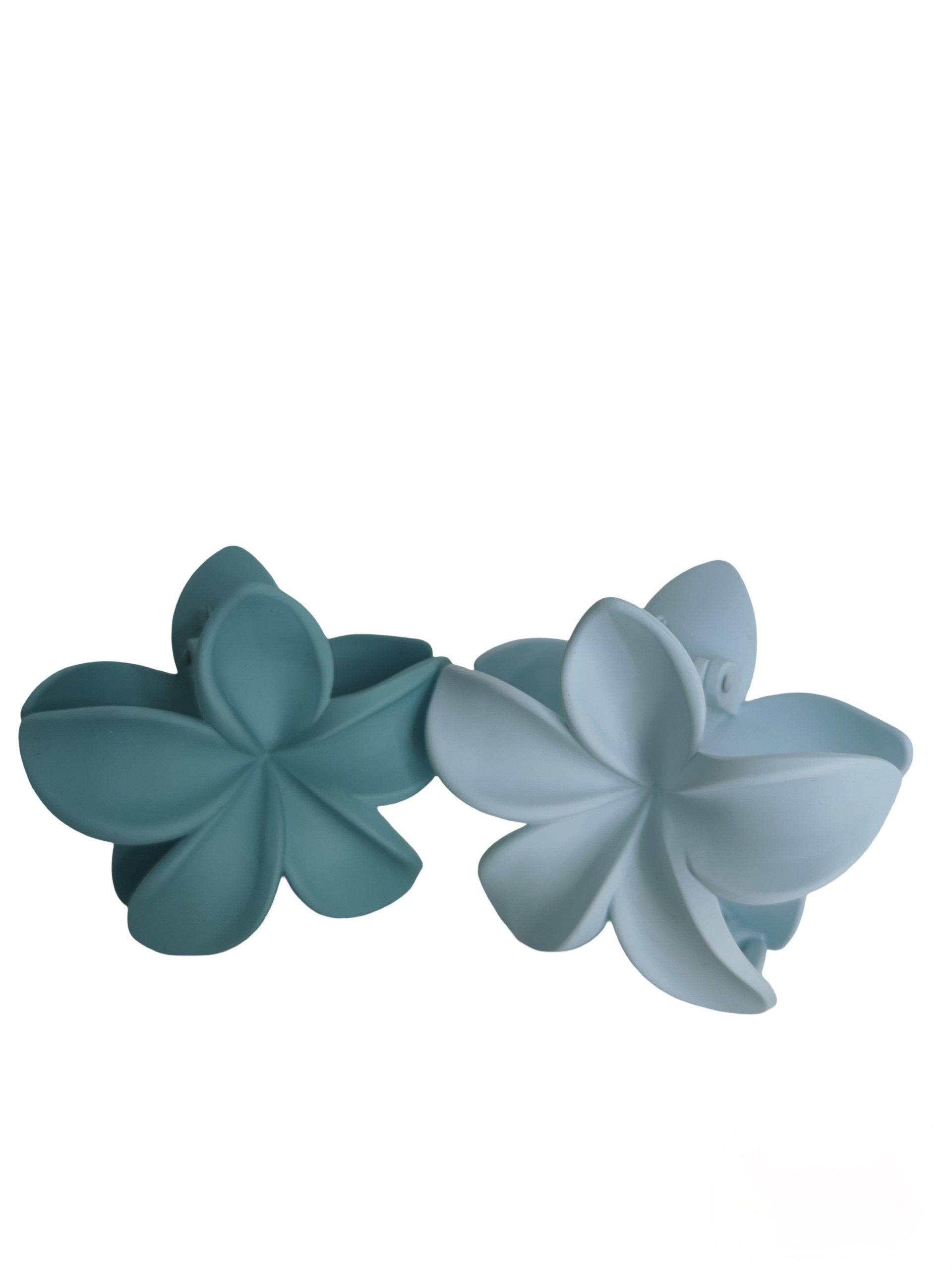 Trendy Tresses (2pc)